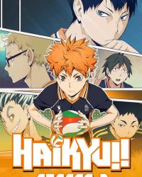 Haikyu – Chàng khổng lồ tí hon (Phần 2)