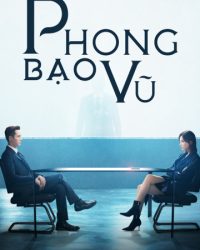 Phong Bạo Vũ