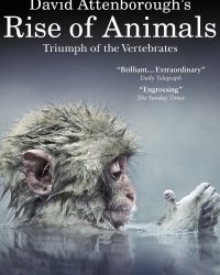 David Attenborough's Rise of Animals: Triumph of the Vertebrates