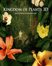 Kingdom of Plants