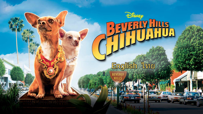 Phim Những Chú Chó Chihuahua