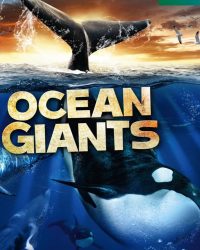 Ocean Giants