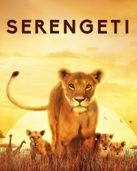 Serengeti