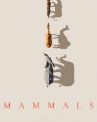 Mammals (2024)